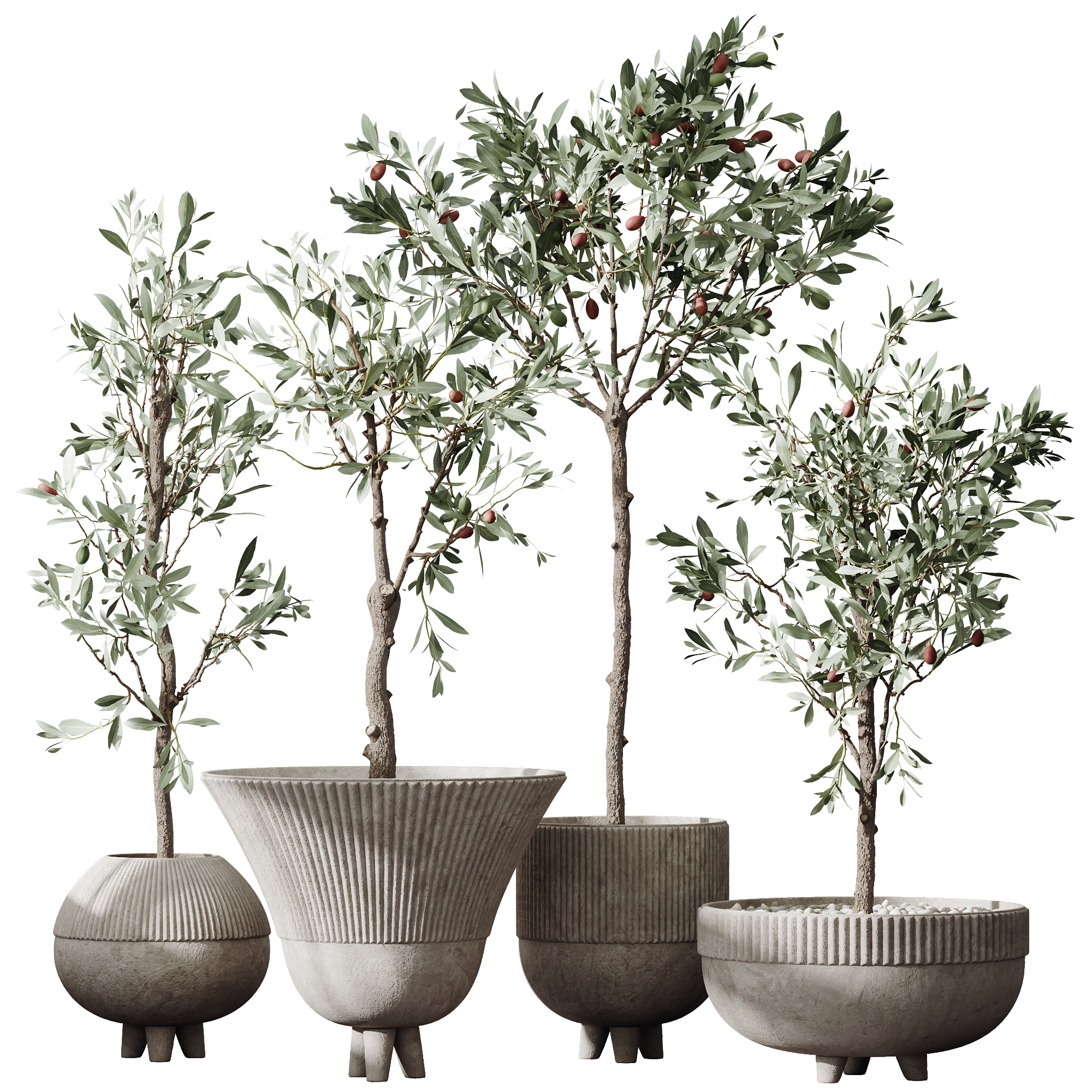 HQ Plants Mission Olive Tree Indoor Vase Set001